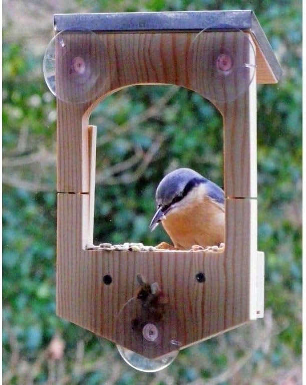 Bird Feeder Gift In A Tin