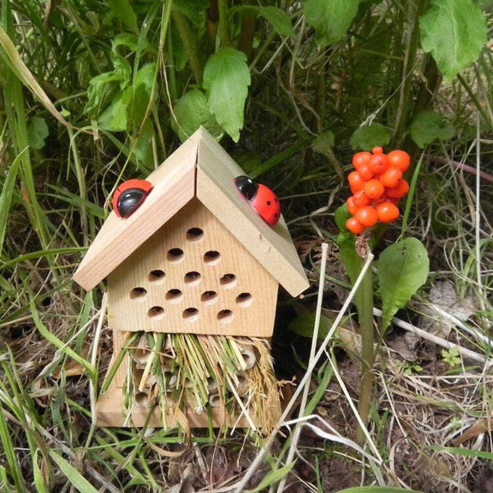 Wooden bee house with ladybug decorations on a natural background