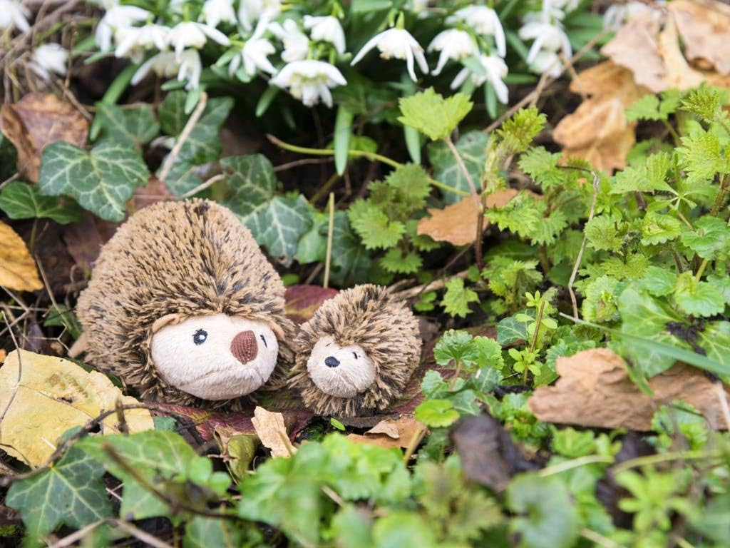Two toy hedgehogs on a leafy ground with flowers in the background