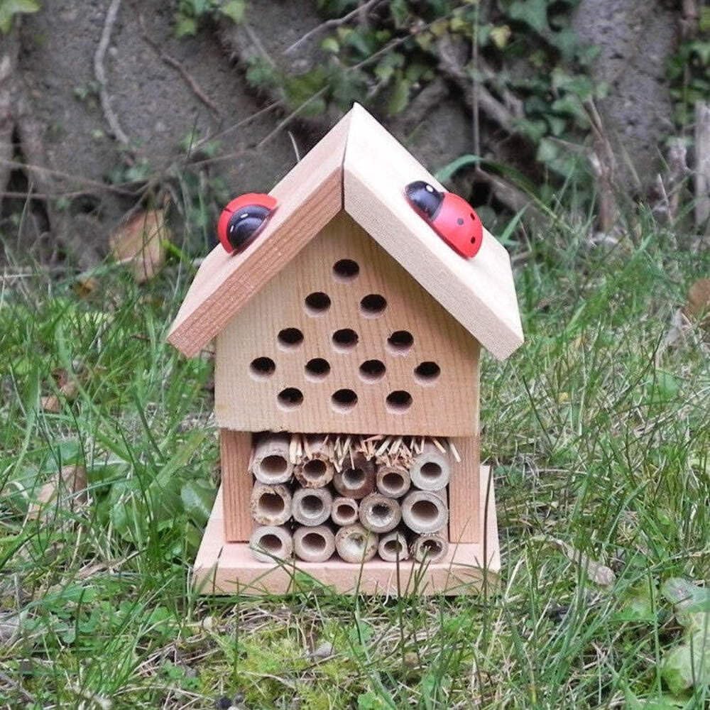 Wooden insect hotel with ladybugs on a grassy background