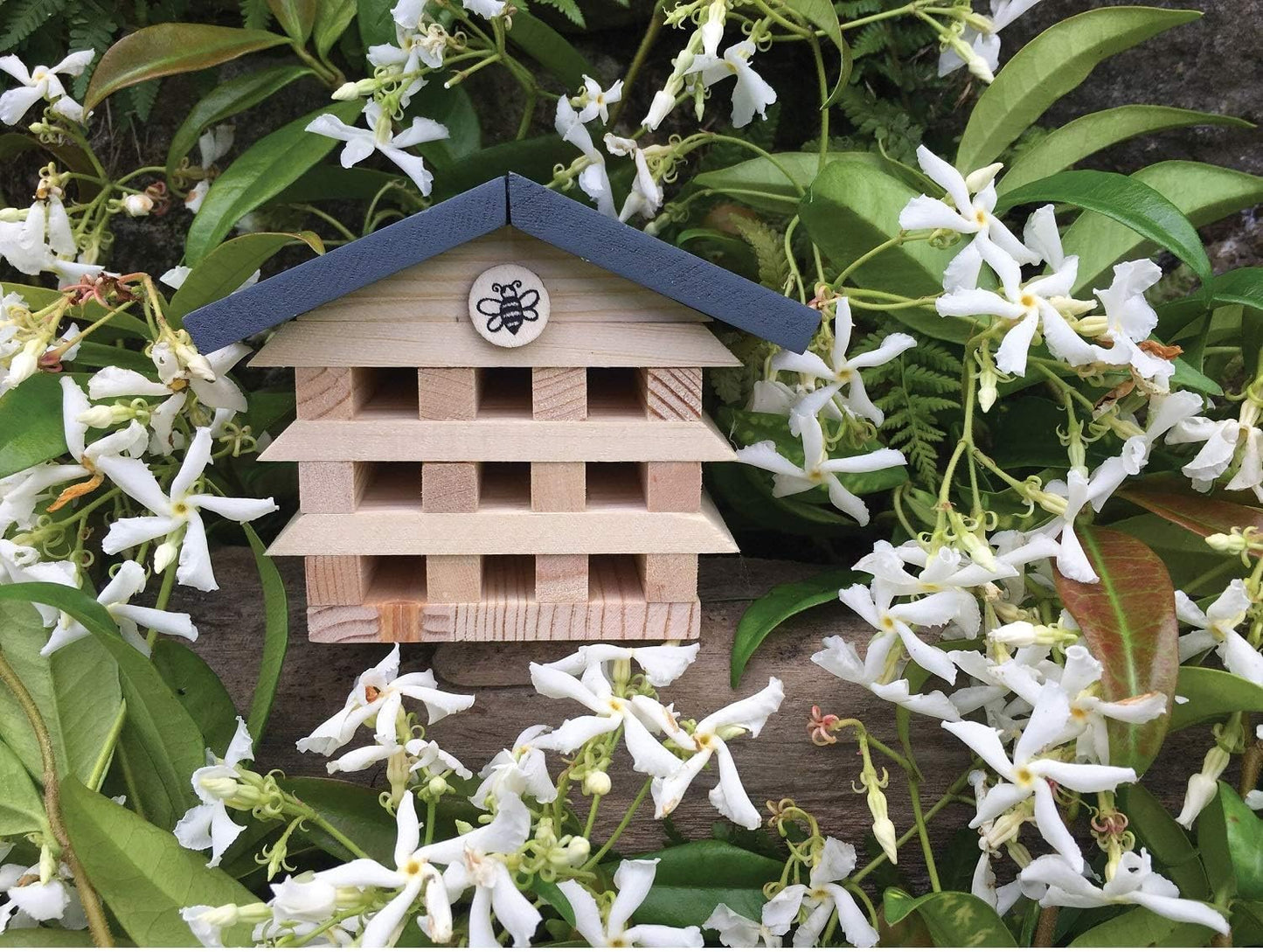 Small wooden structure with a blue roof and white emblem, surrounded by white flowers and green leaves.