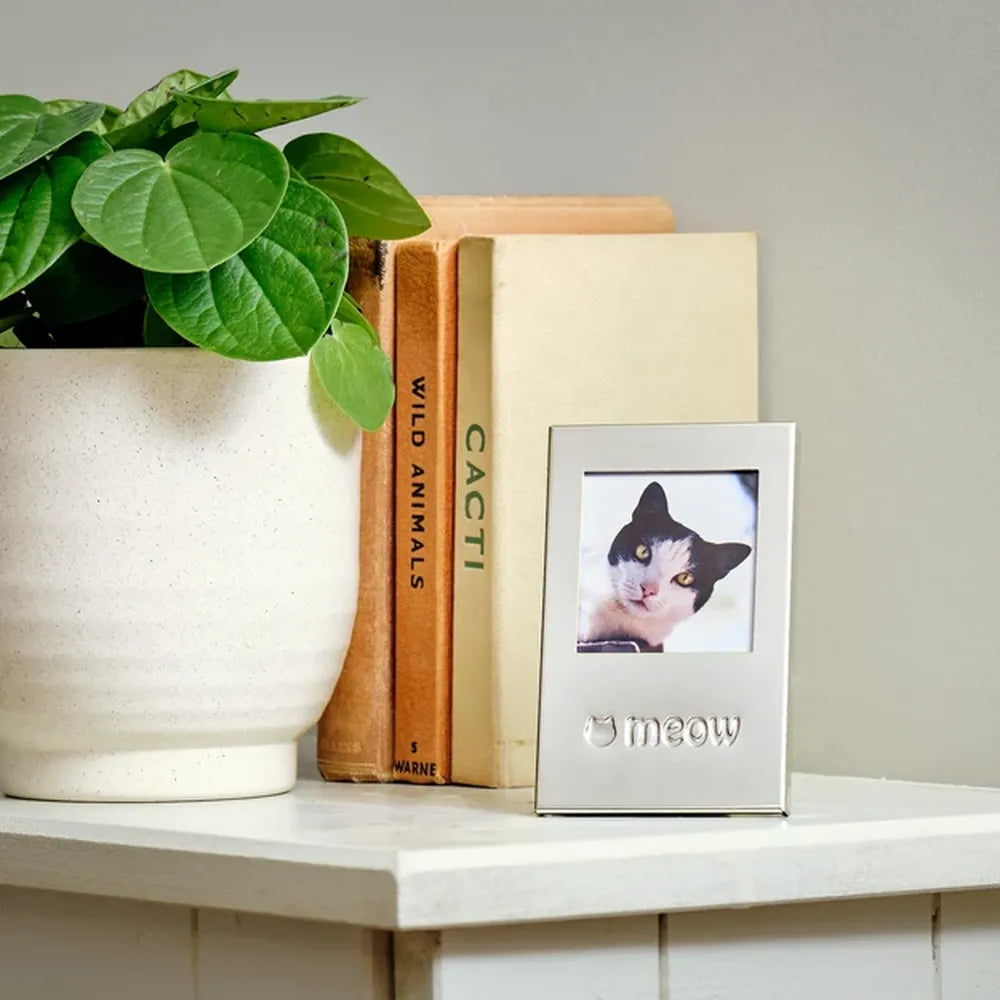 Perfect Paws Silver Plated 2x2 Photo Frame - Cat