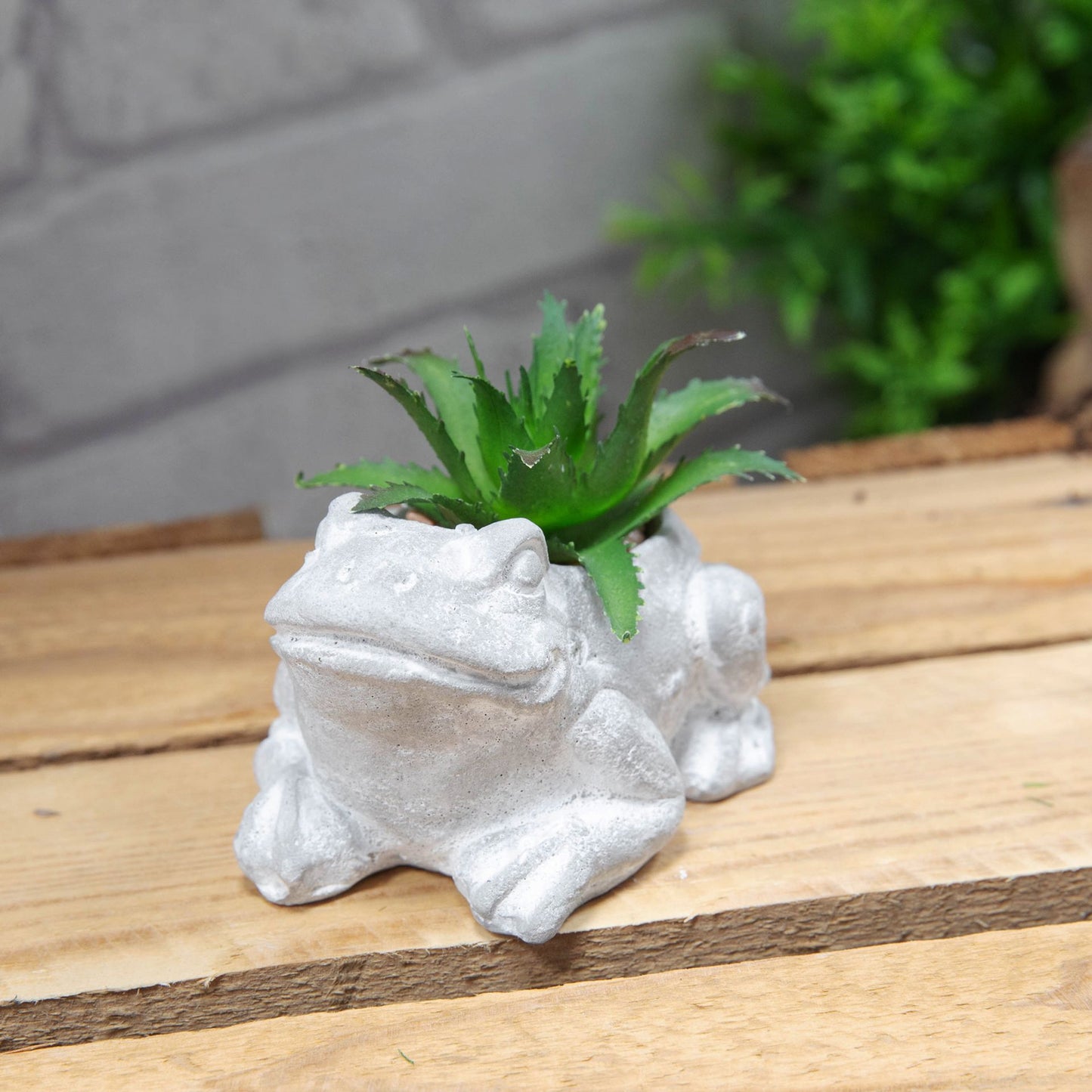 Cement Effect Frog Planter With Succulent