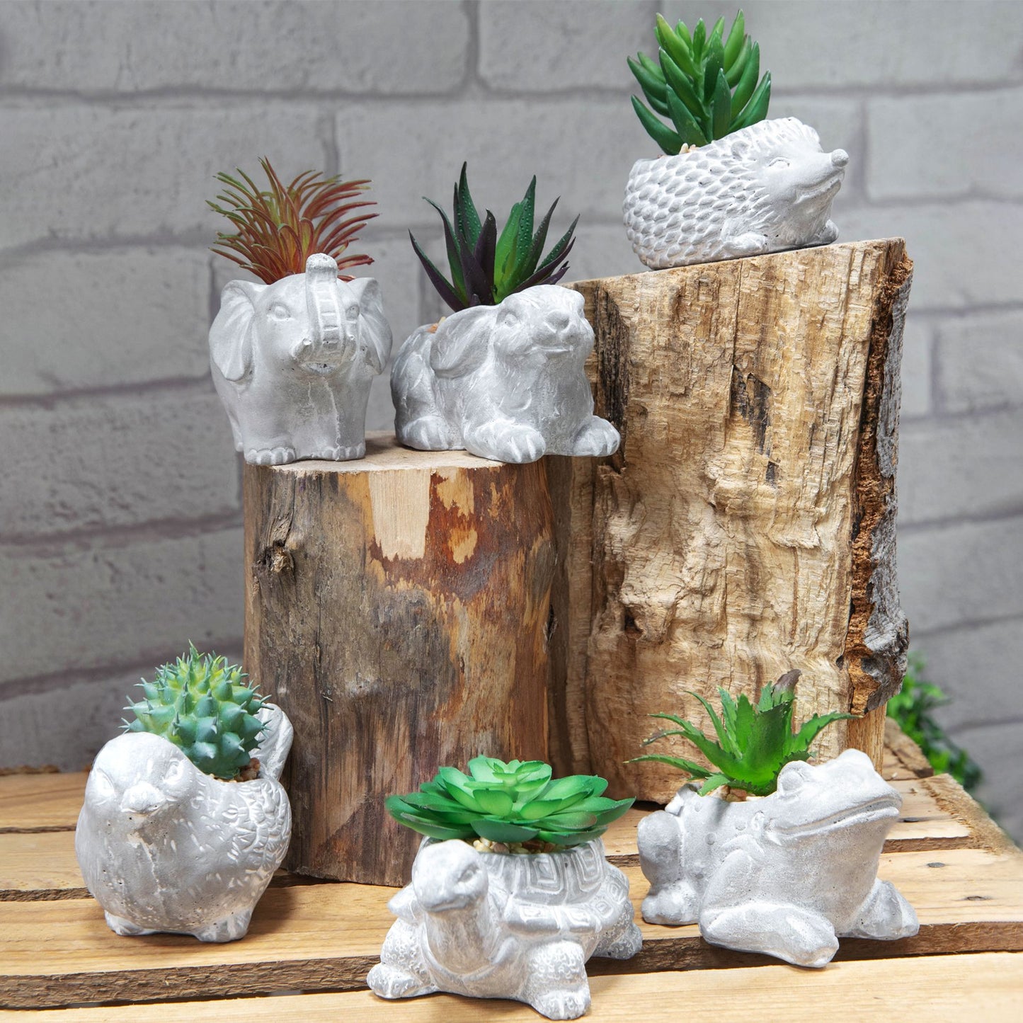 Cement Effect Frog Planter With Succulent