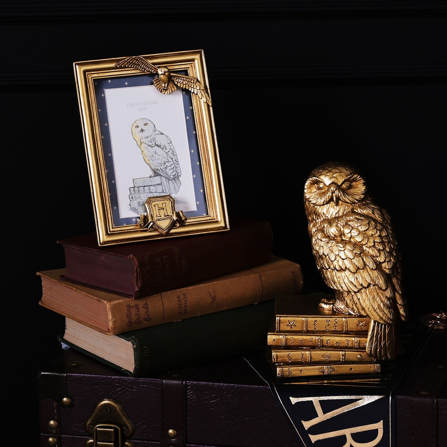 Harry Potter Alumni Hedwig Photo Frame - Gold - 6x4