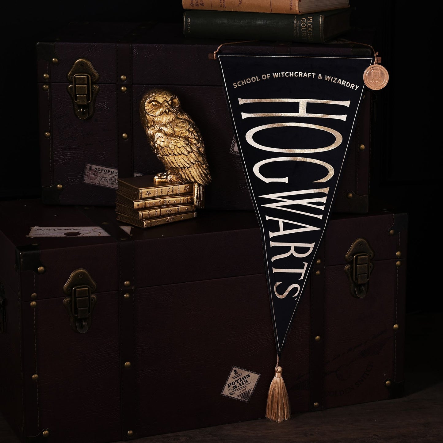 Harry Potter Alumni Hanging Hogwarts Banner