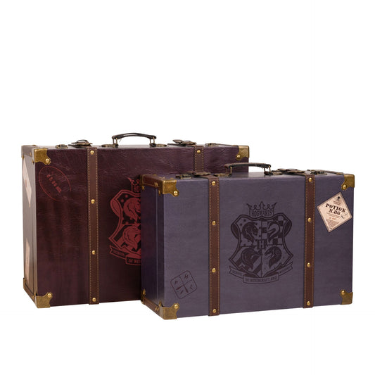 Harry Potter Suitcase 1