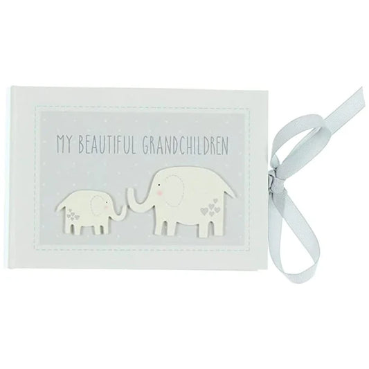 My Beautiful Grandchildren album with bow