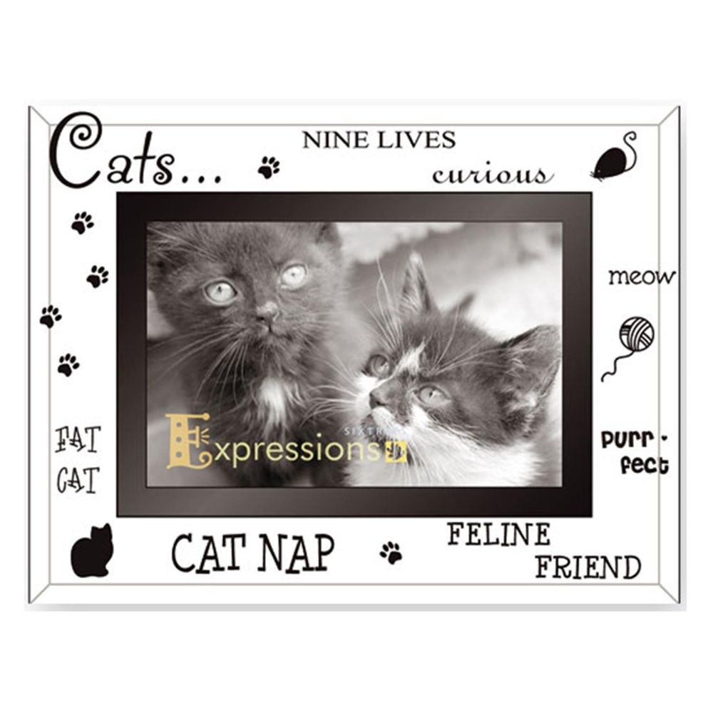 Sixtrees Cats Glass and Mirror 6x4 Photo Frame