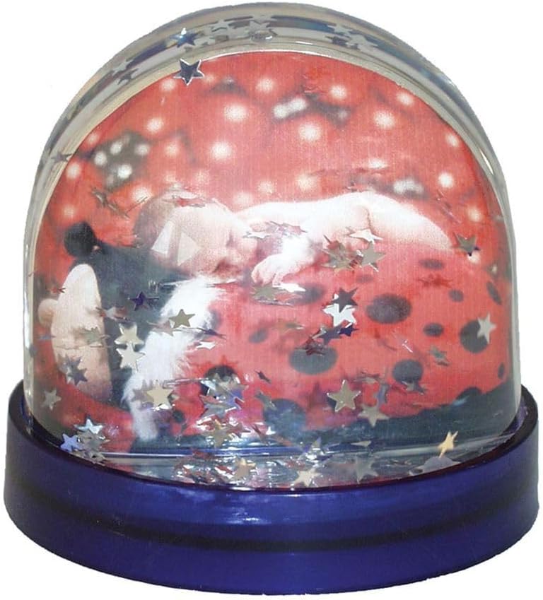 Snow globe with a red background and star decorations on a white background