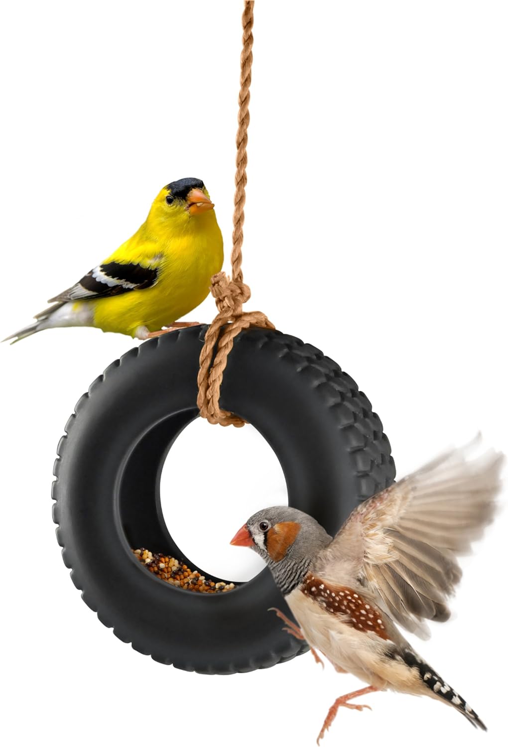 Fred Swing Time - Novelty Tire Swing Bird Feeder on white background with birds 