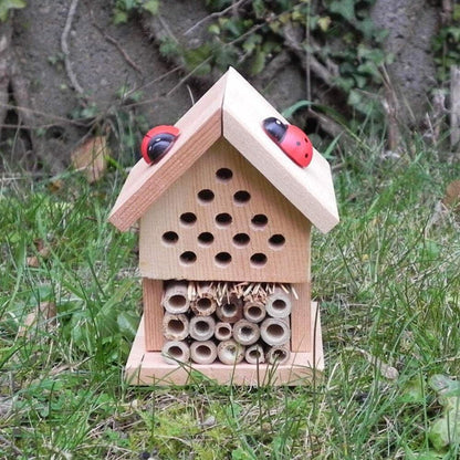 Wooden insect hotel with ladybugs on a grassy background