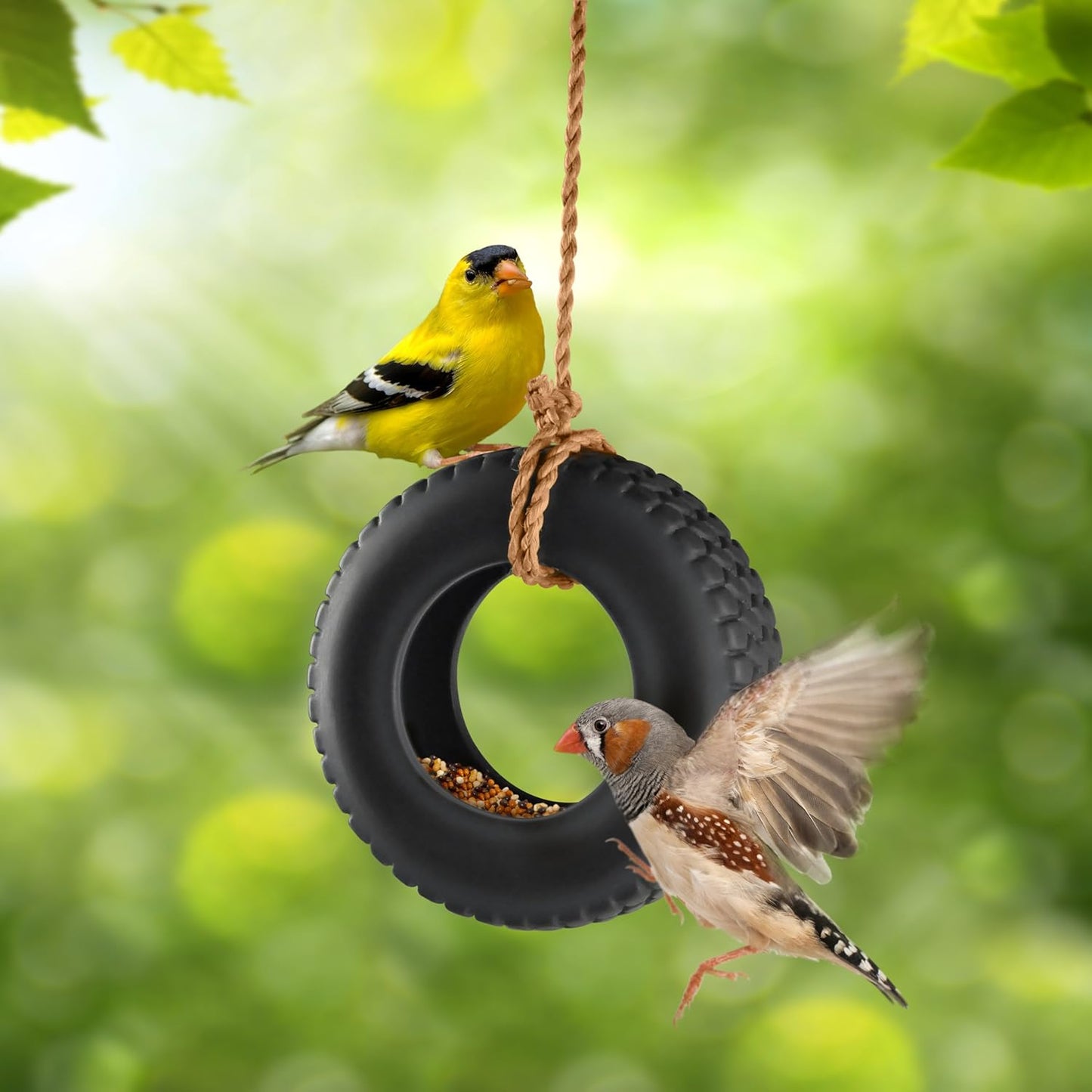 Fred Swing Time - Novelty Tire Swing Bird Feeder with bird on green 