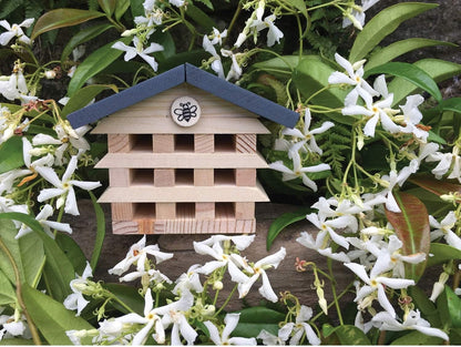 Small wooden structure with a blue roof and white emblem, surrounded by white flowers and green leaves.