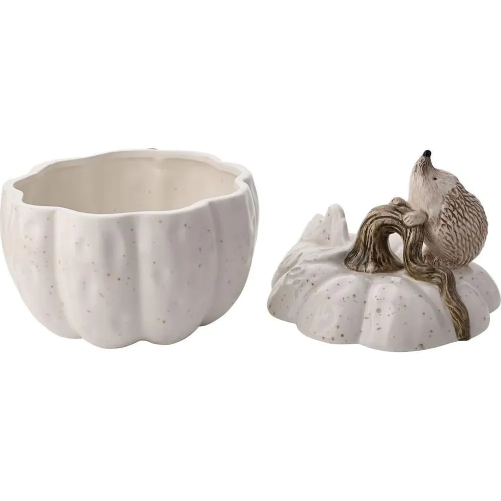 Country Living Hedgehog Storage Pot