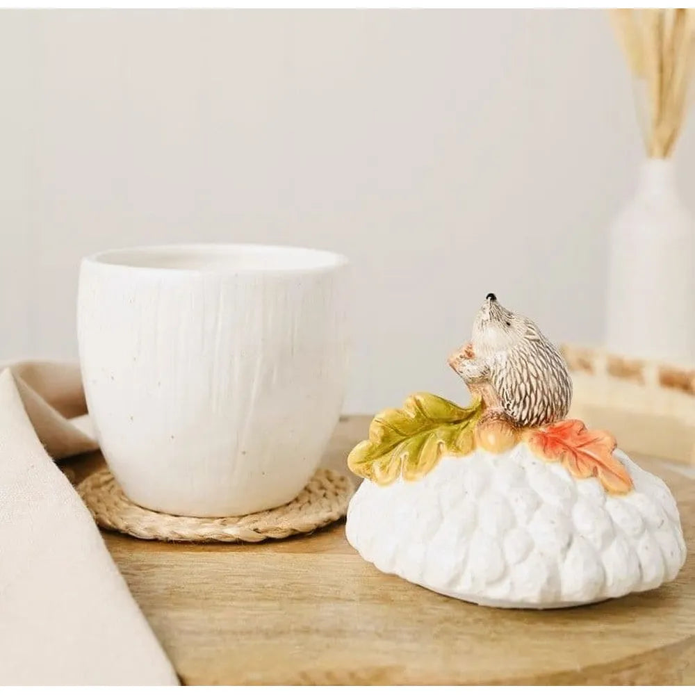 Country Living Hedgehog On An Acorn Storage Jar
