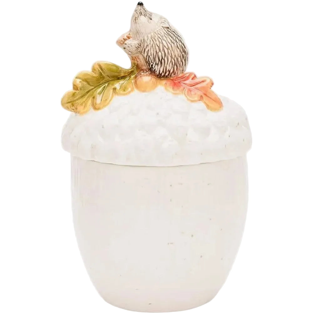 Country Living Hedgehog On An Acorn Storage Jar