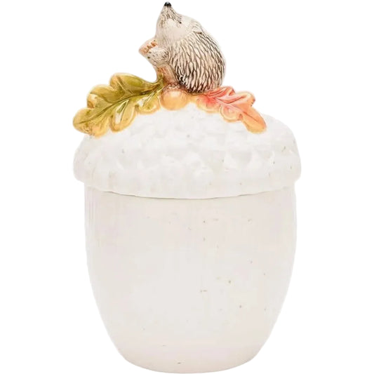 Country Living Hedgehog On An Acorn Storage Jar