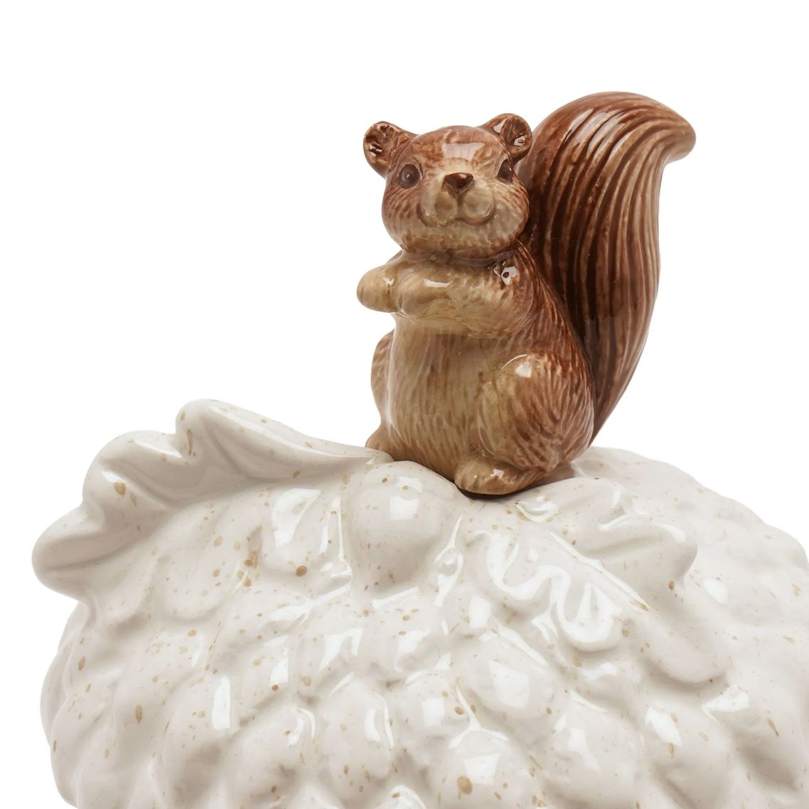 Close up of Squirrel