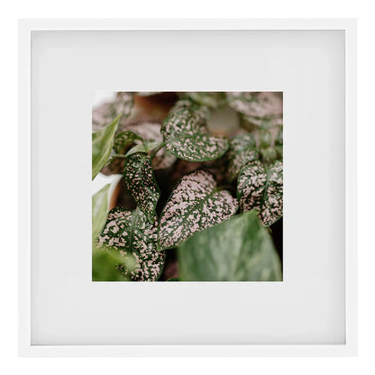 Kenro Strata Photo Frame 10x10 with 5x5 Mat - White