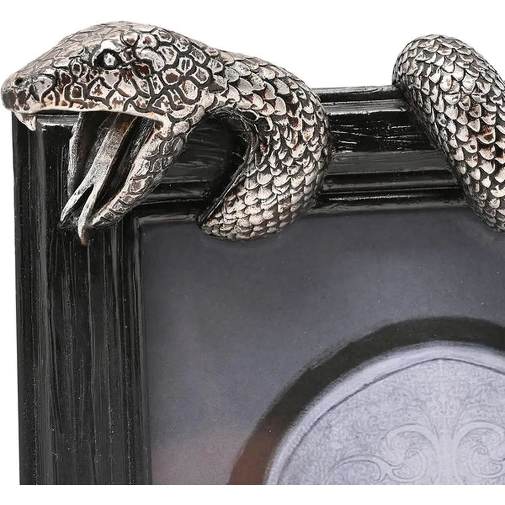 Harry Potter Dark Arts Frame - Nagini