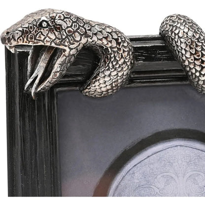 Harry Potter Dark Arts Frame - Nagini