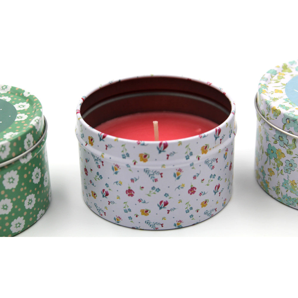 Latham & Hall Set of 3 Scented Tin Candles - Evergreen Balsam, Alpine Forest, Honeysuckle & Hydrangea