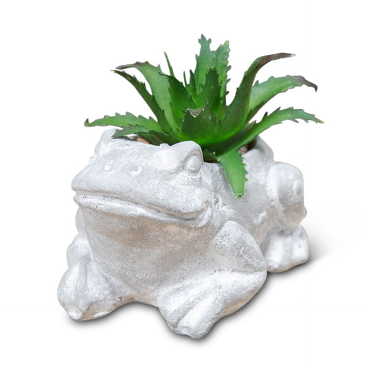 Cement Effect Frog Planter With Succulent